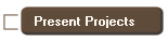 Present Projects